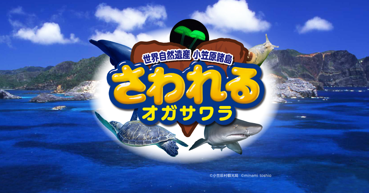 さわれるオガサワラ